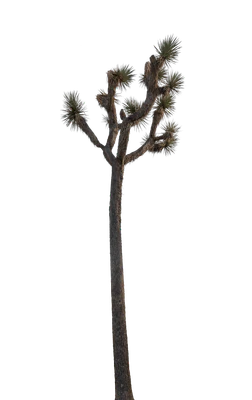 035 — скачать