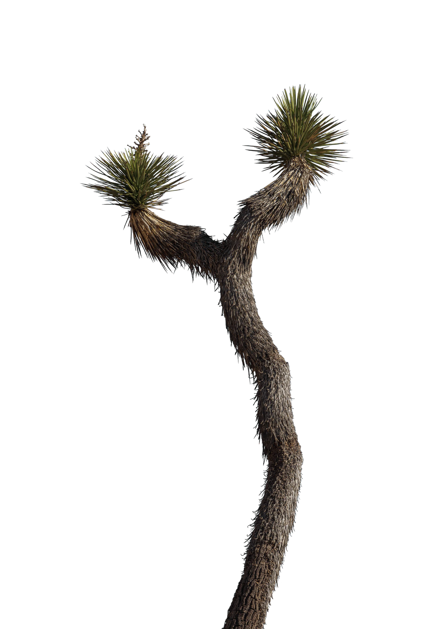 036 — Скачать