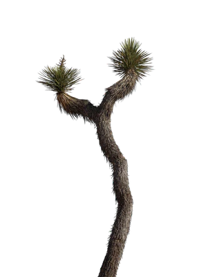 036 — скачать