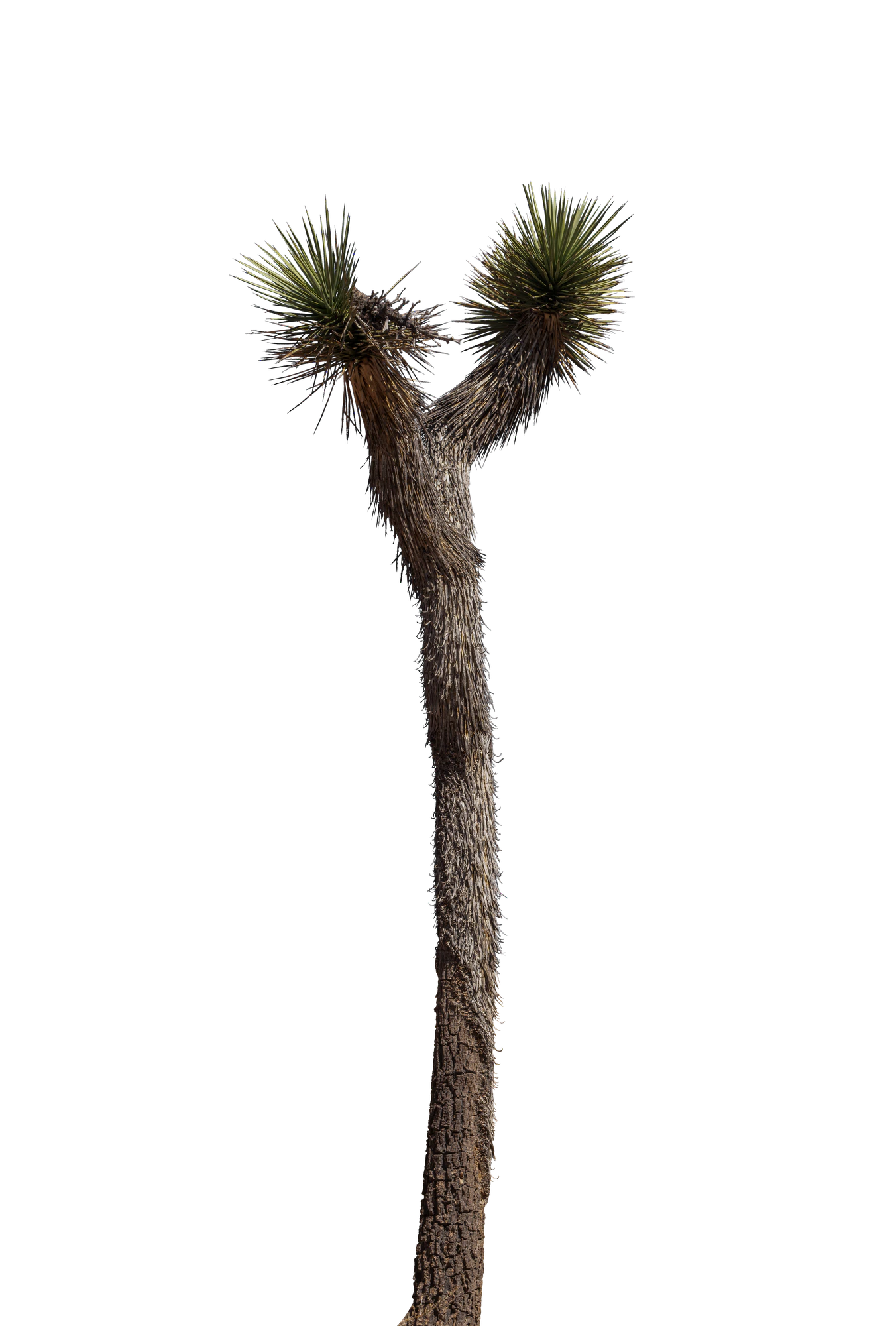 037 — Скачать