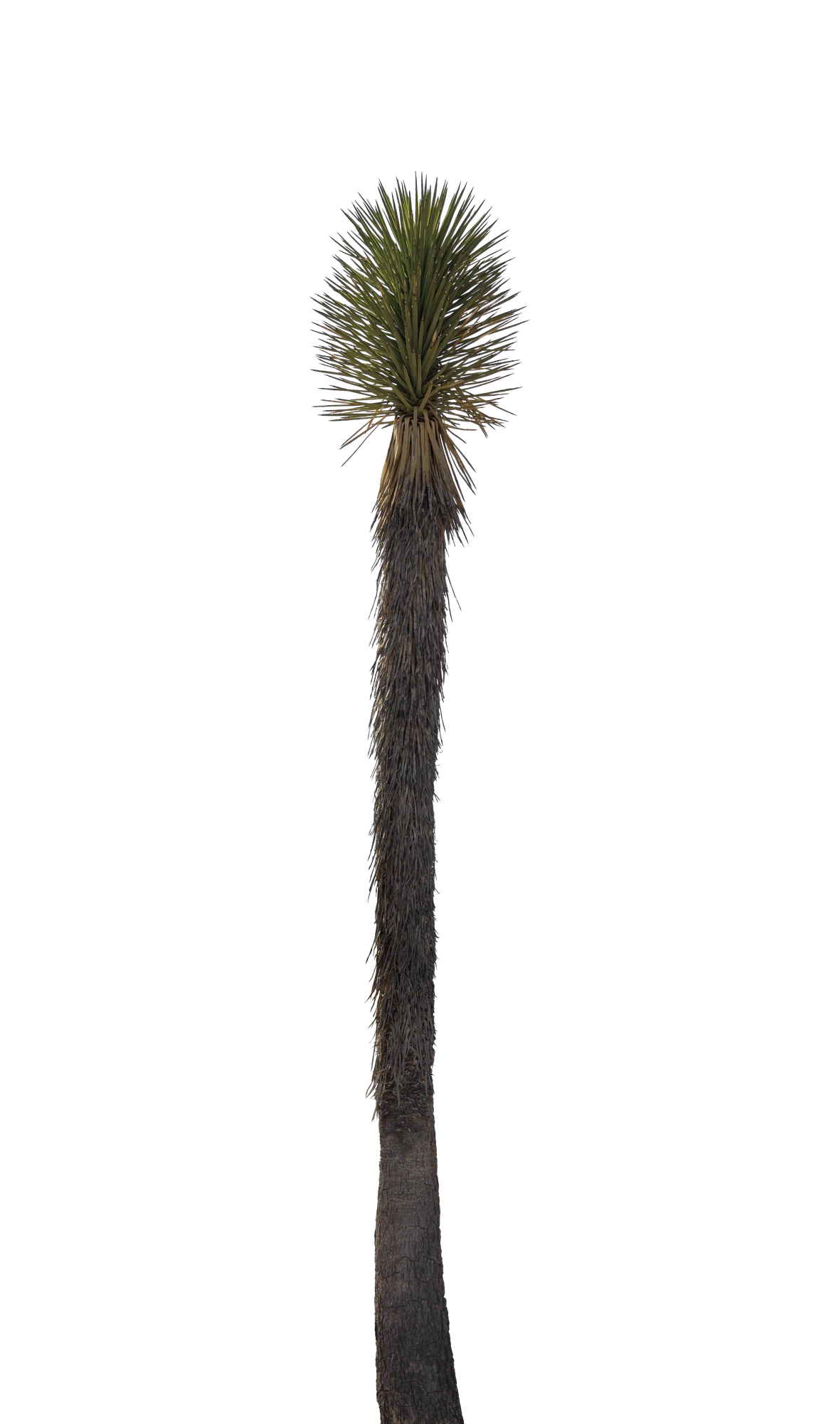 038 — Скачать