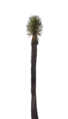 038 — скачать