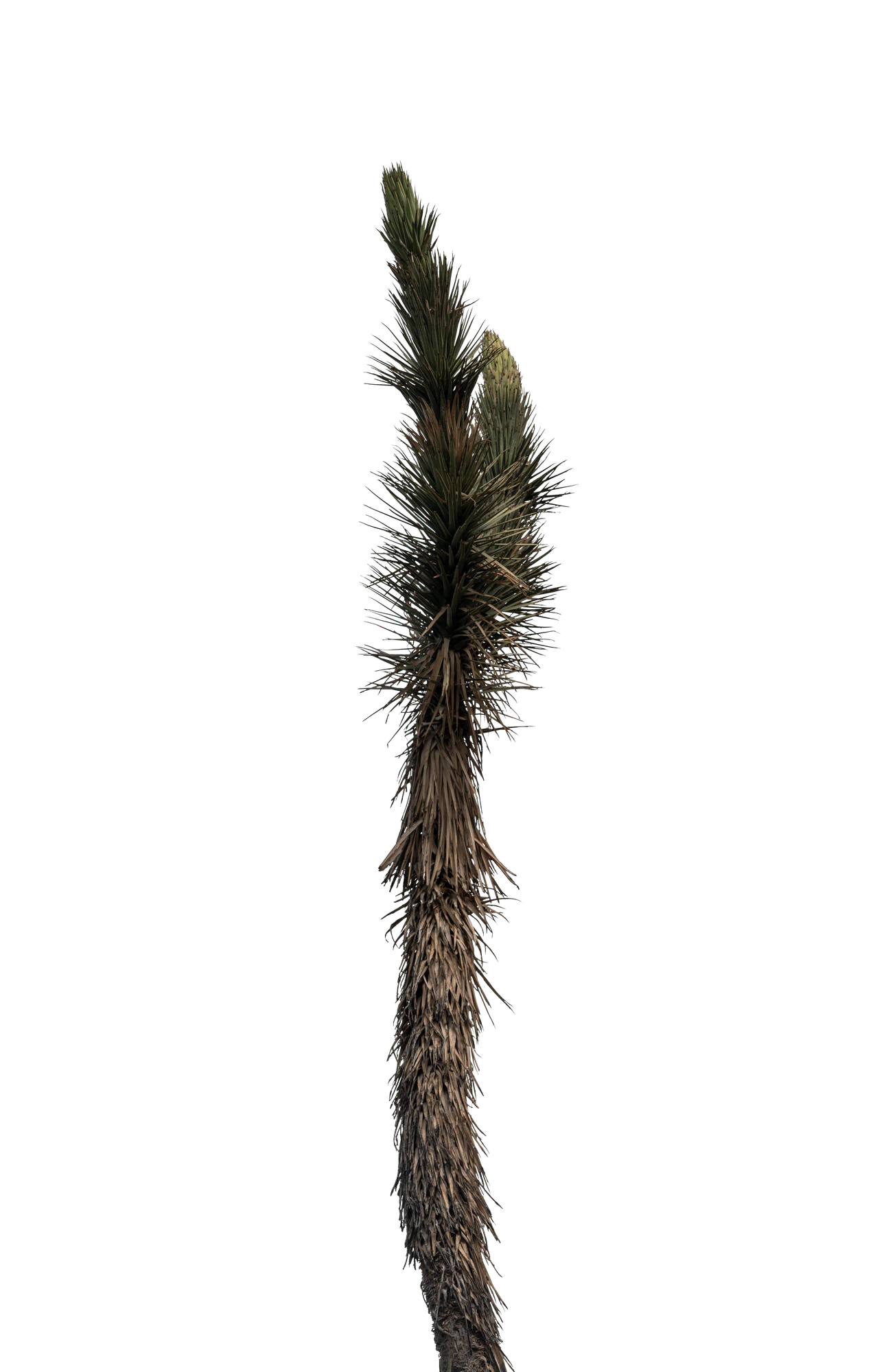 039 — Скачать