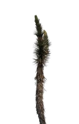 039 — скачать