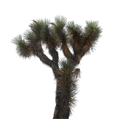 040 — скачать