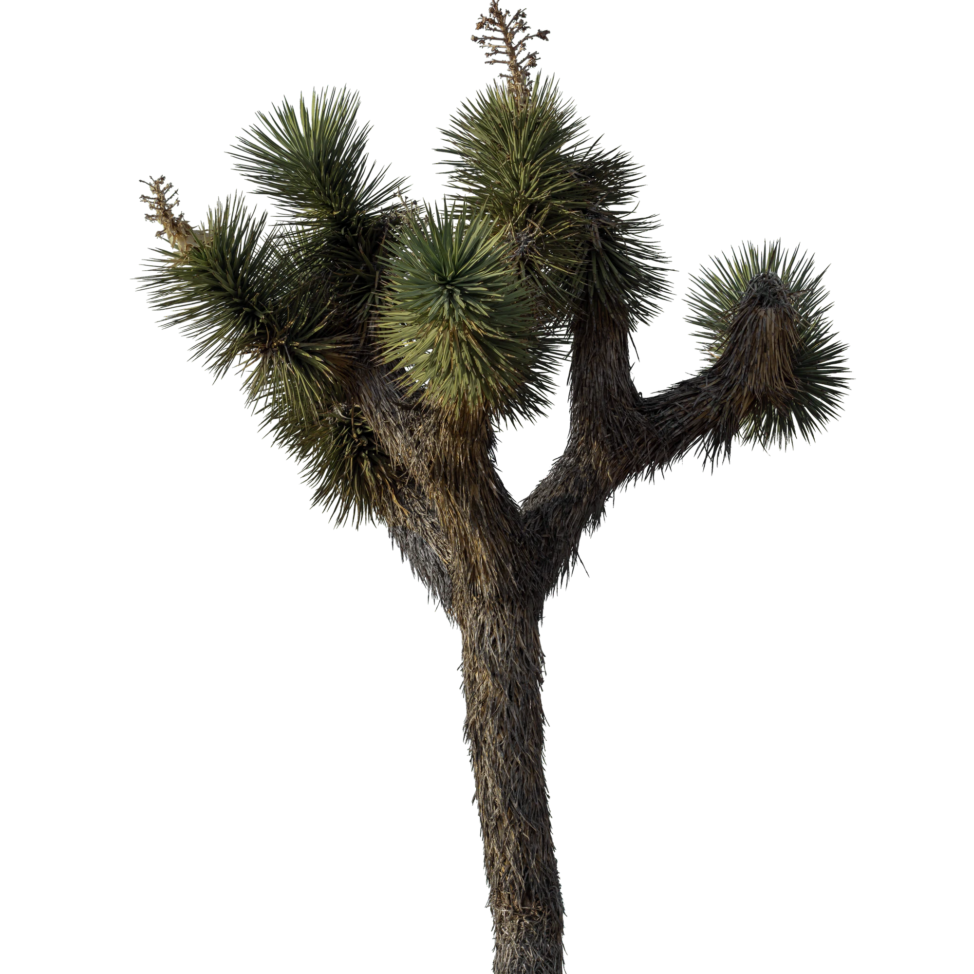 041 — Скачать