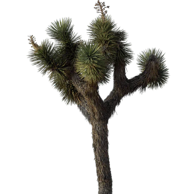 041 — скачать