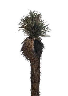 042 — скачать