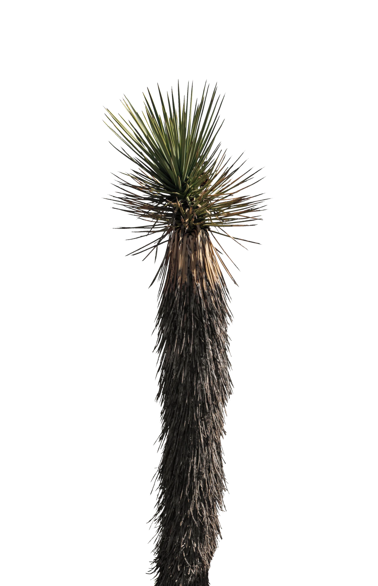 043 — Скачать