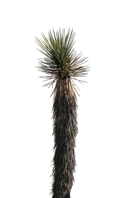 043 — скачать