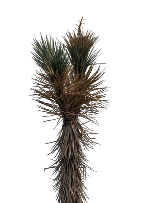 044 — скачать