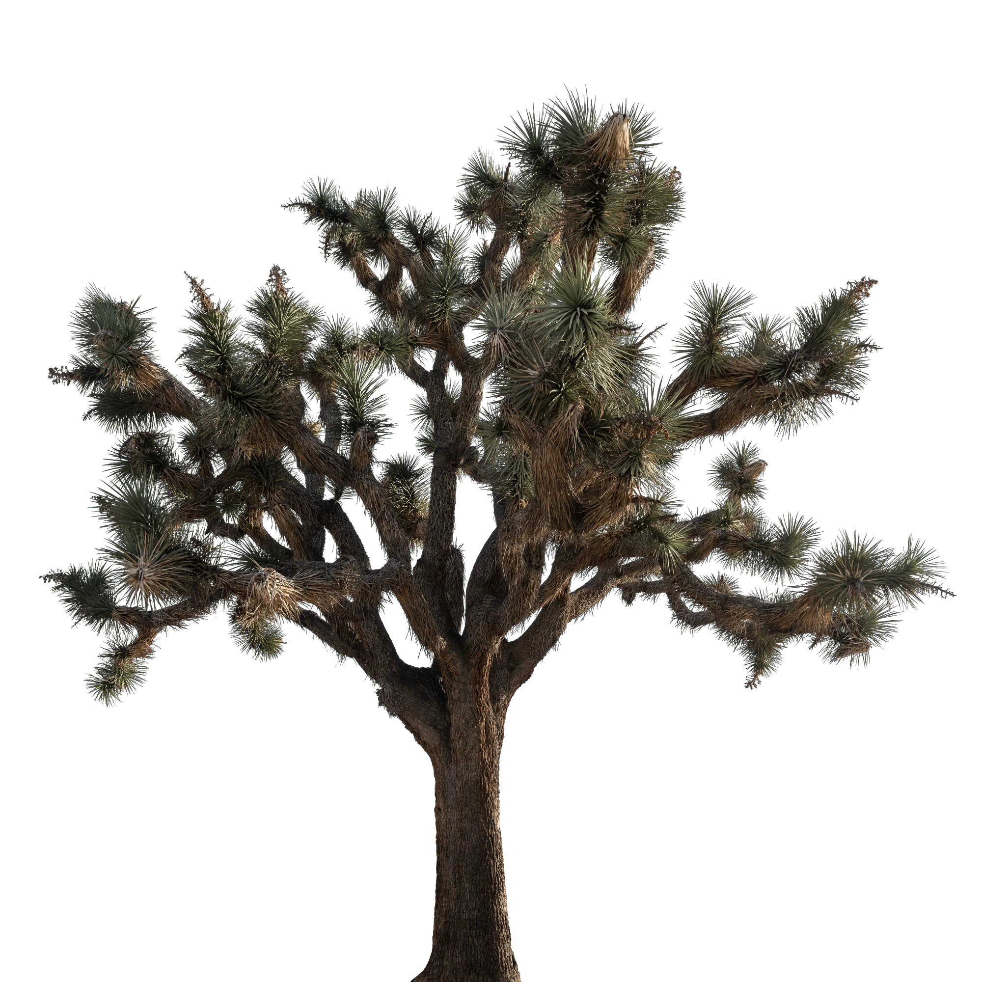 045 — Скачать