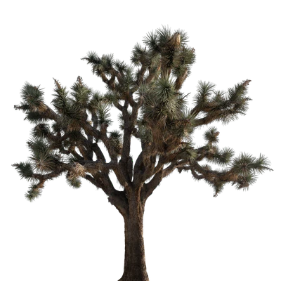 045 — скачать