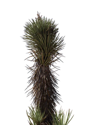 046 — скачать