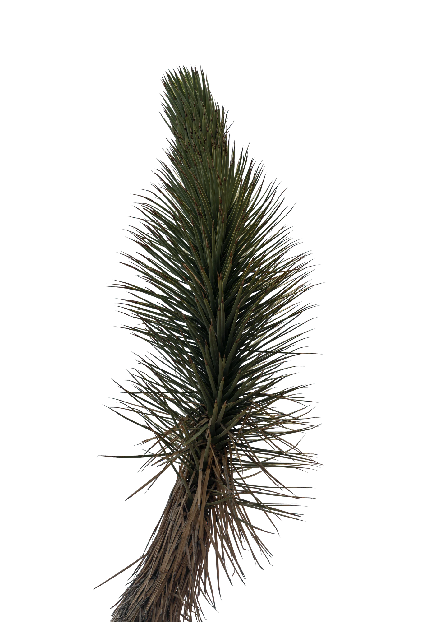 047 — Скачать