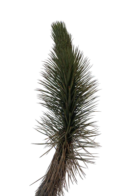 047 — скачать