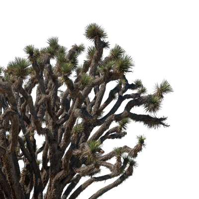 048 — скачать