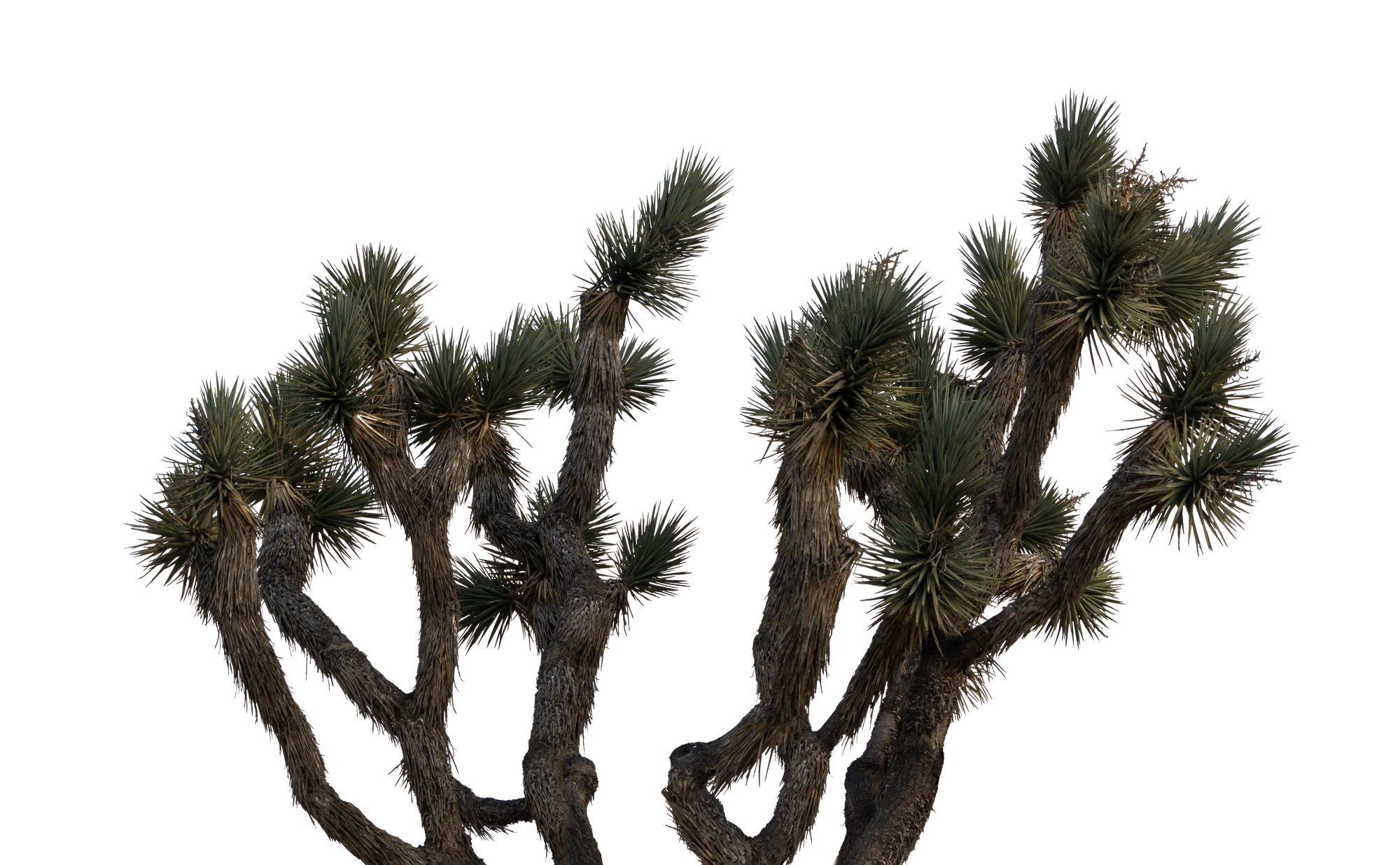 049 — Скачать