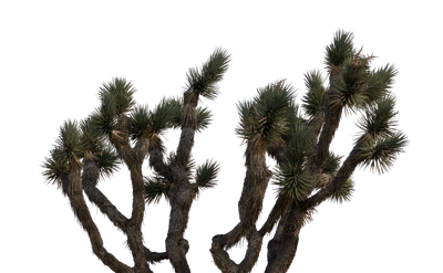 049 — скачать