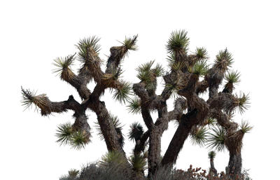 050 — скачать