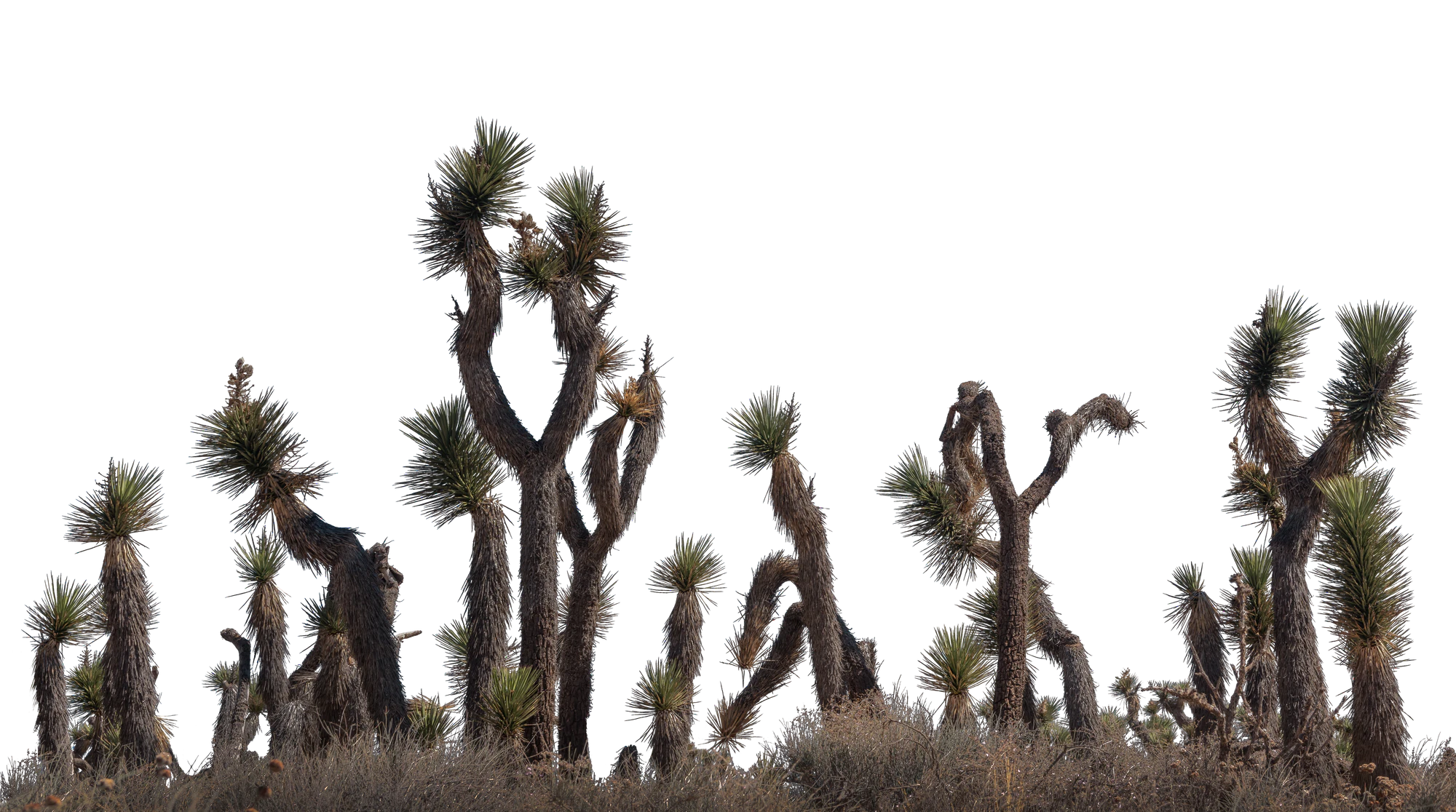 051 — Скачать