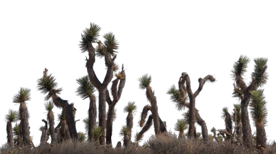 051 — скачать