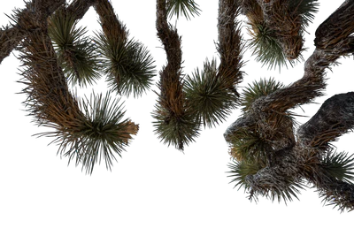 052 — скачать