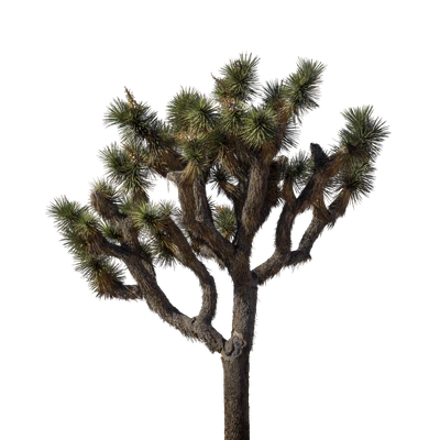 053 — скачать