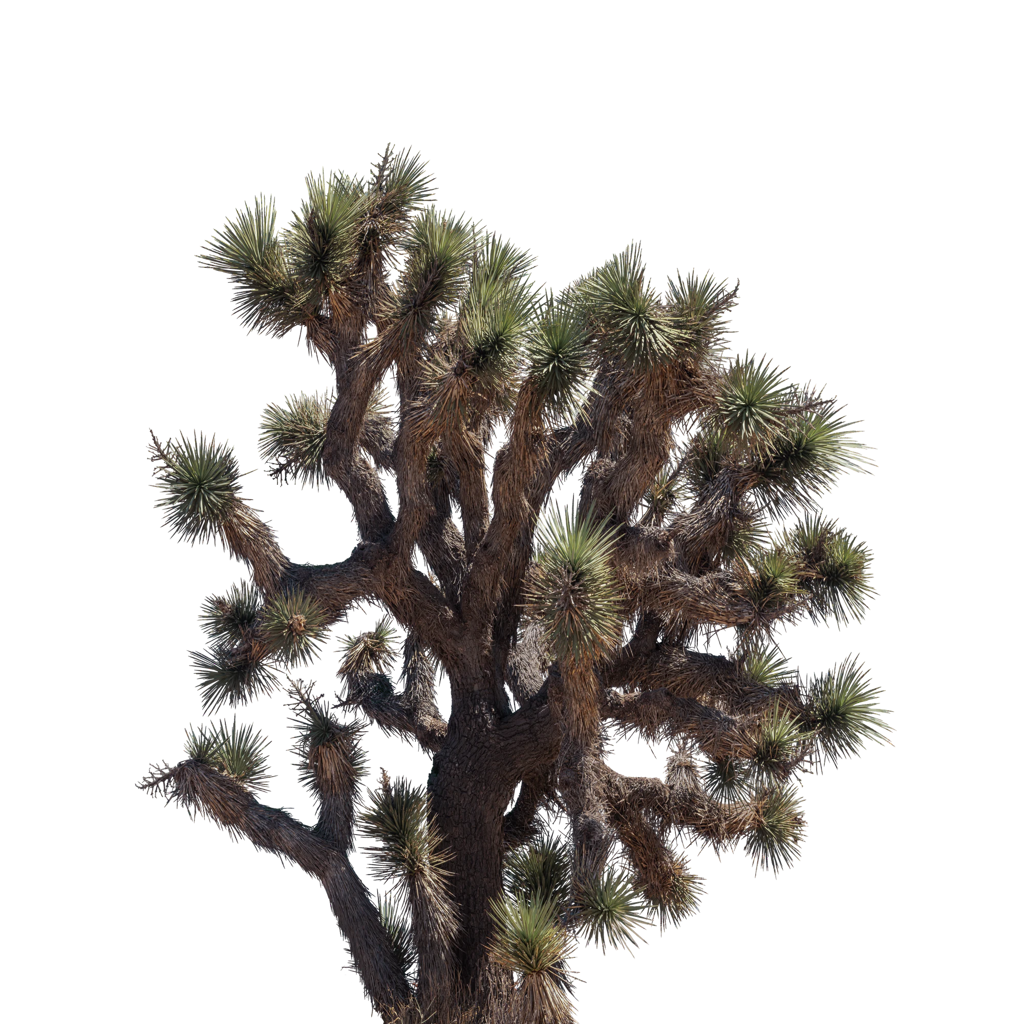 054 — Скачать