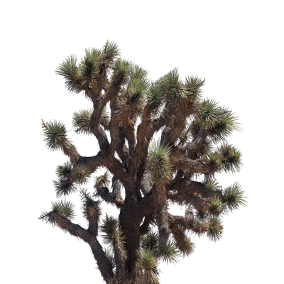 054 — скачать