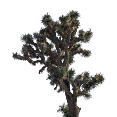 055 — скачать