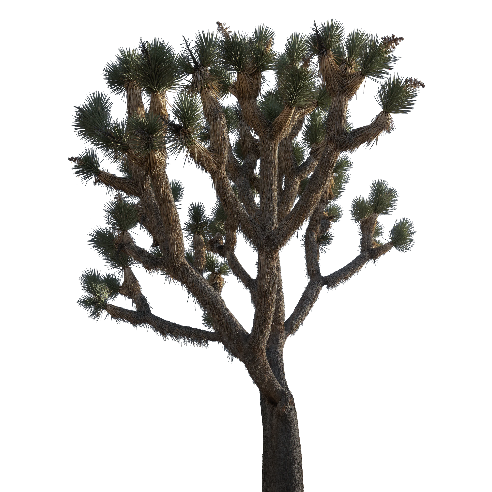 056 — Скачать