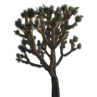 056 — скачать