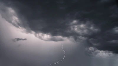 015 — Descargar