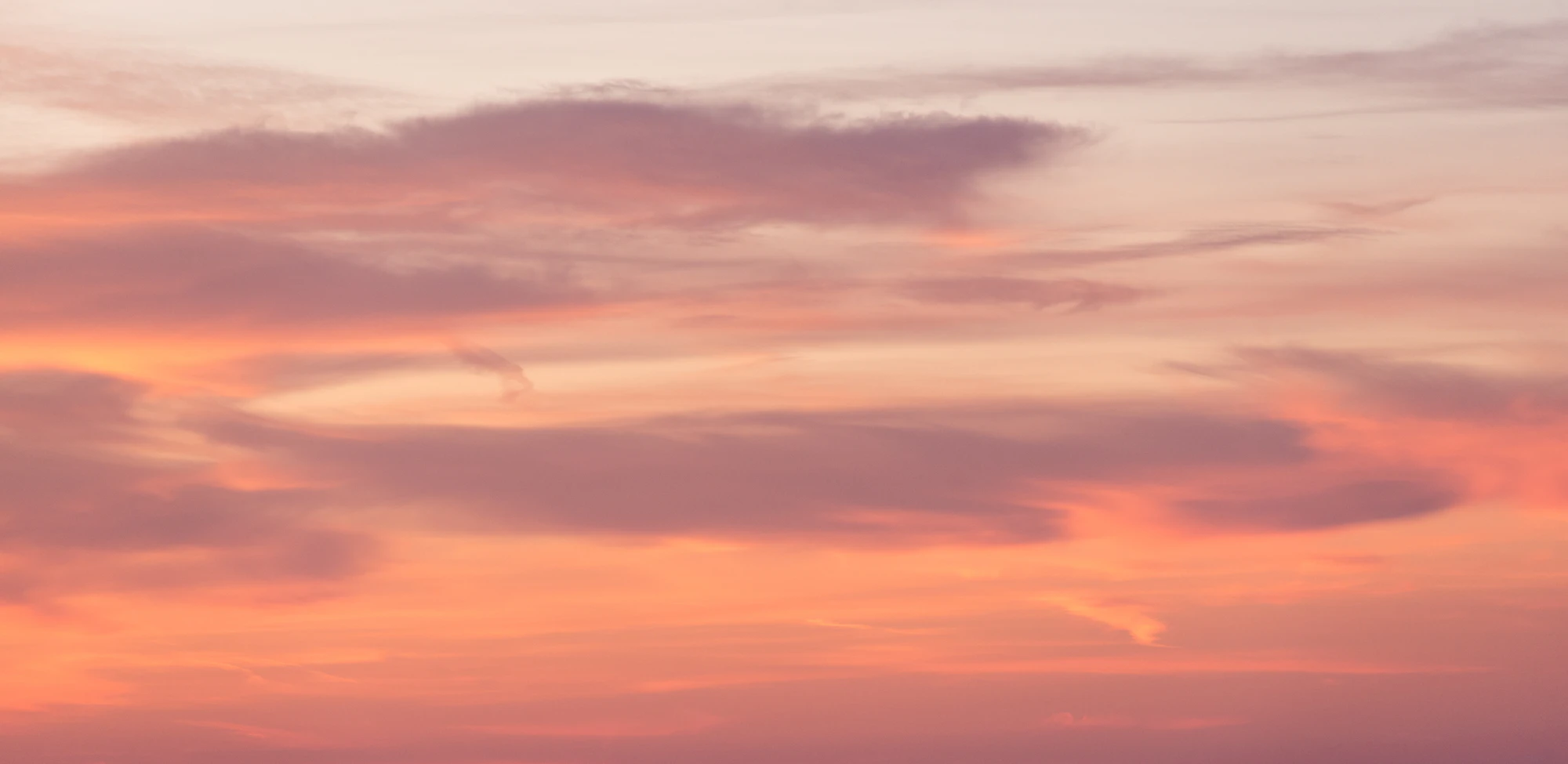 041 — Скачать