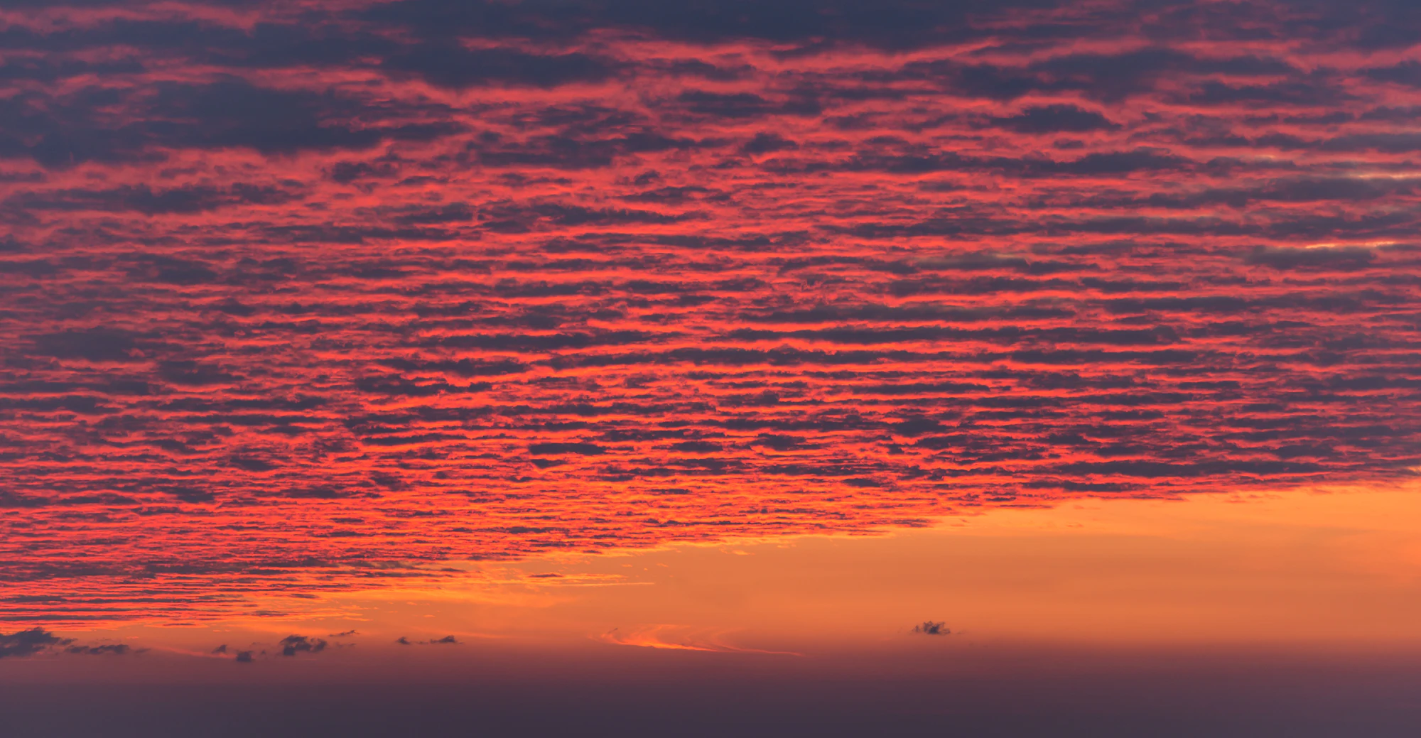 043 — Скачать