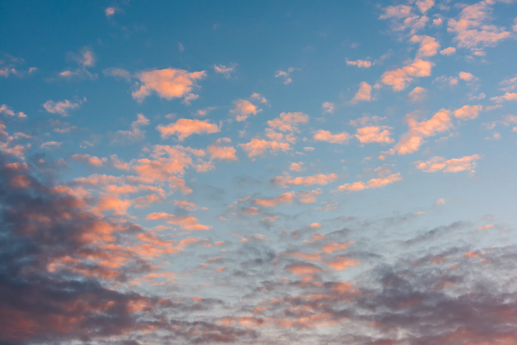 046 — Скачать