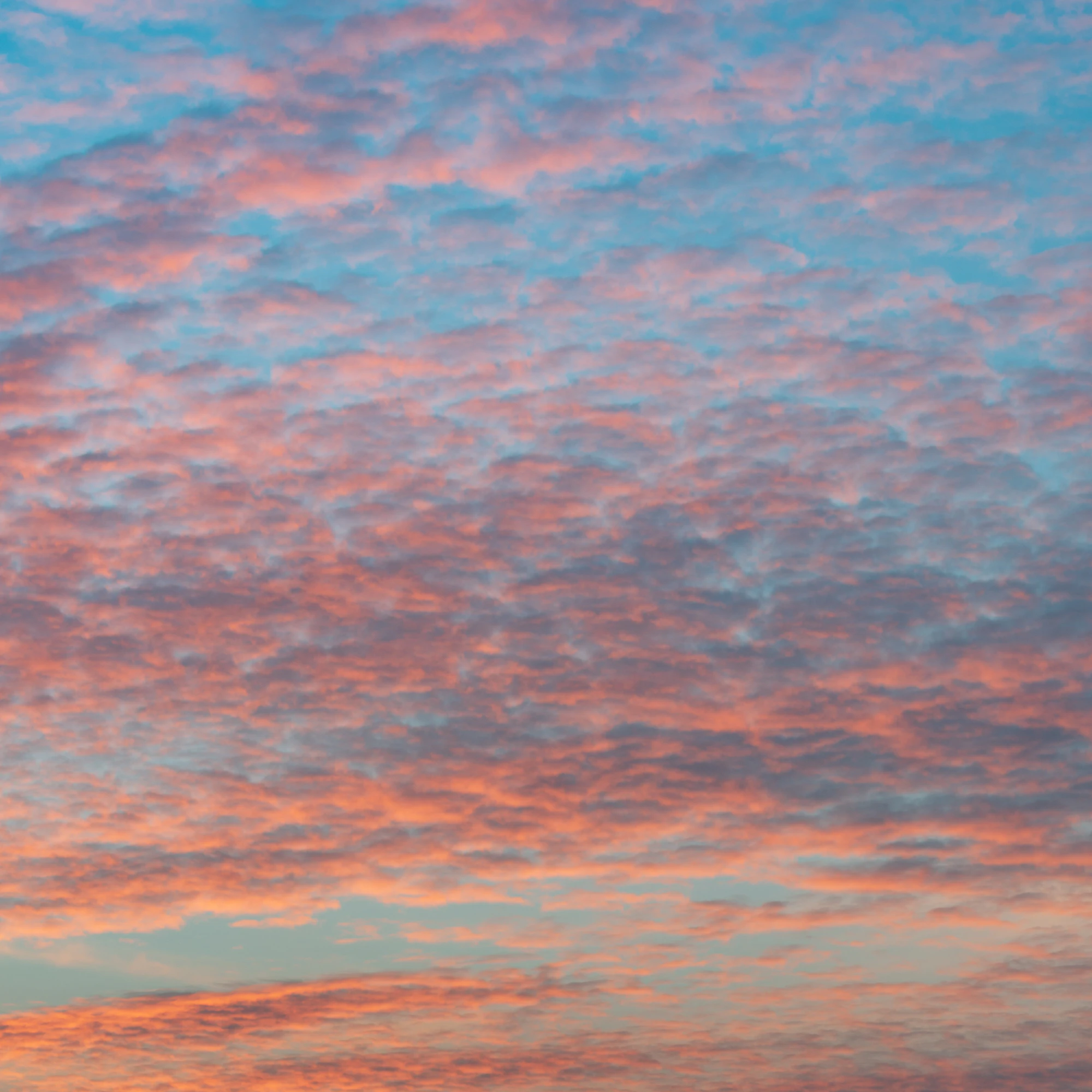 049 — Скачать