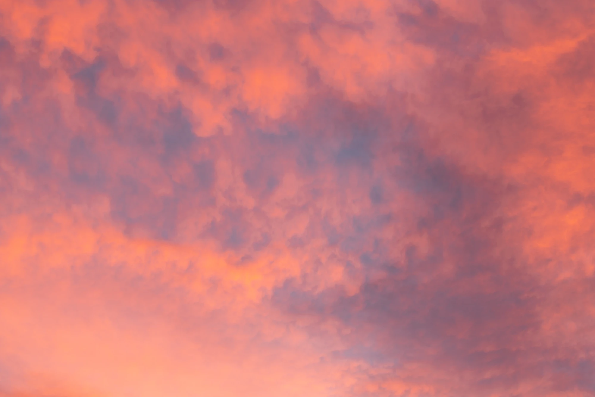 055 — Скачать