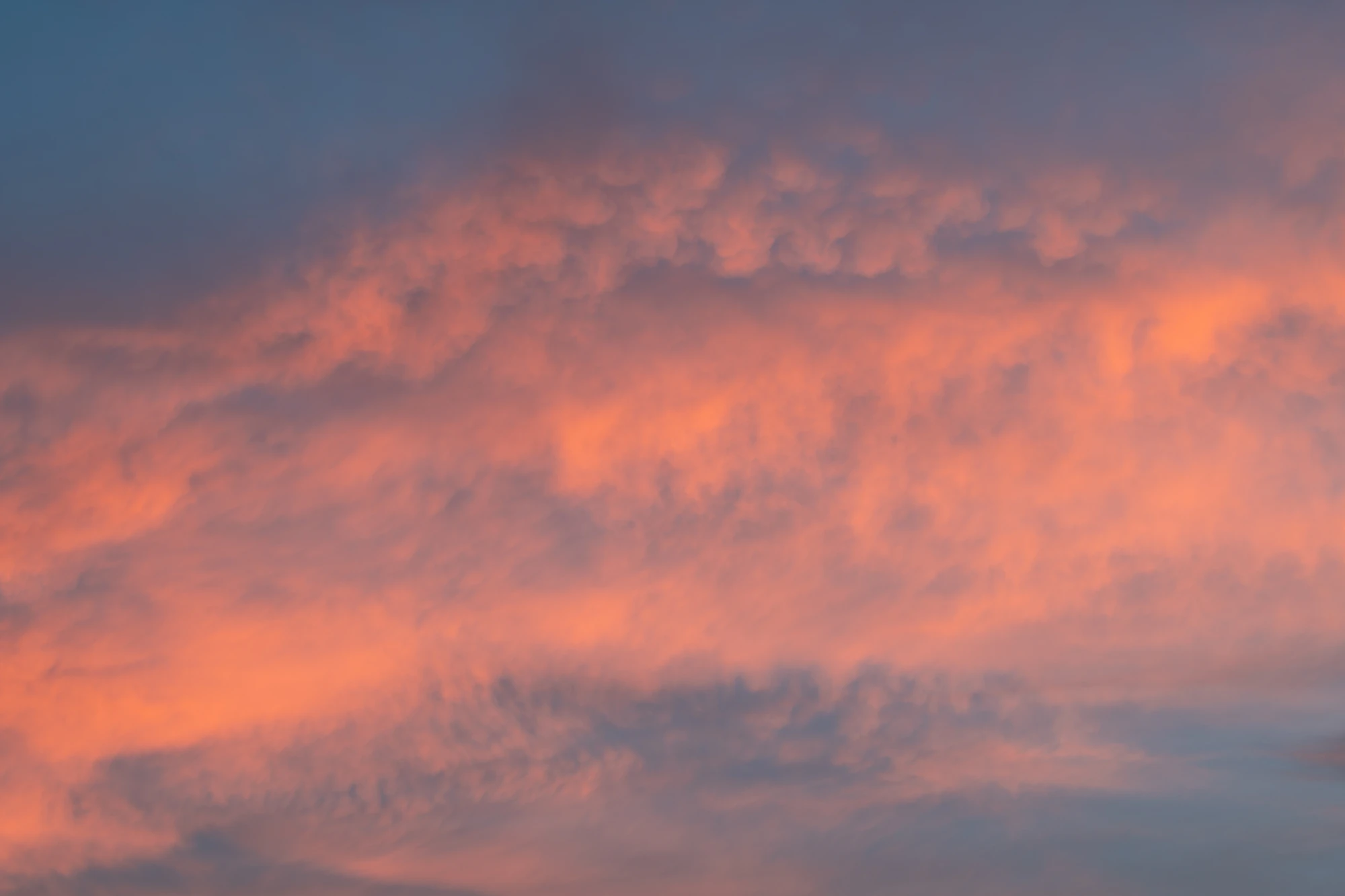 058 — Скачать