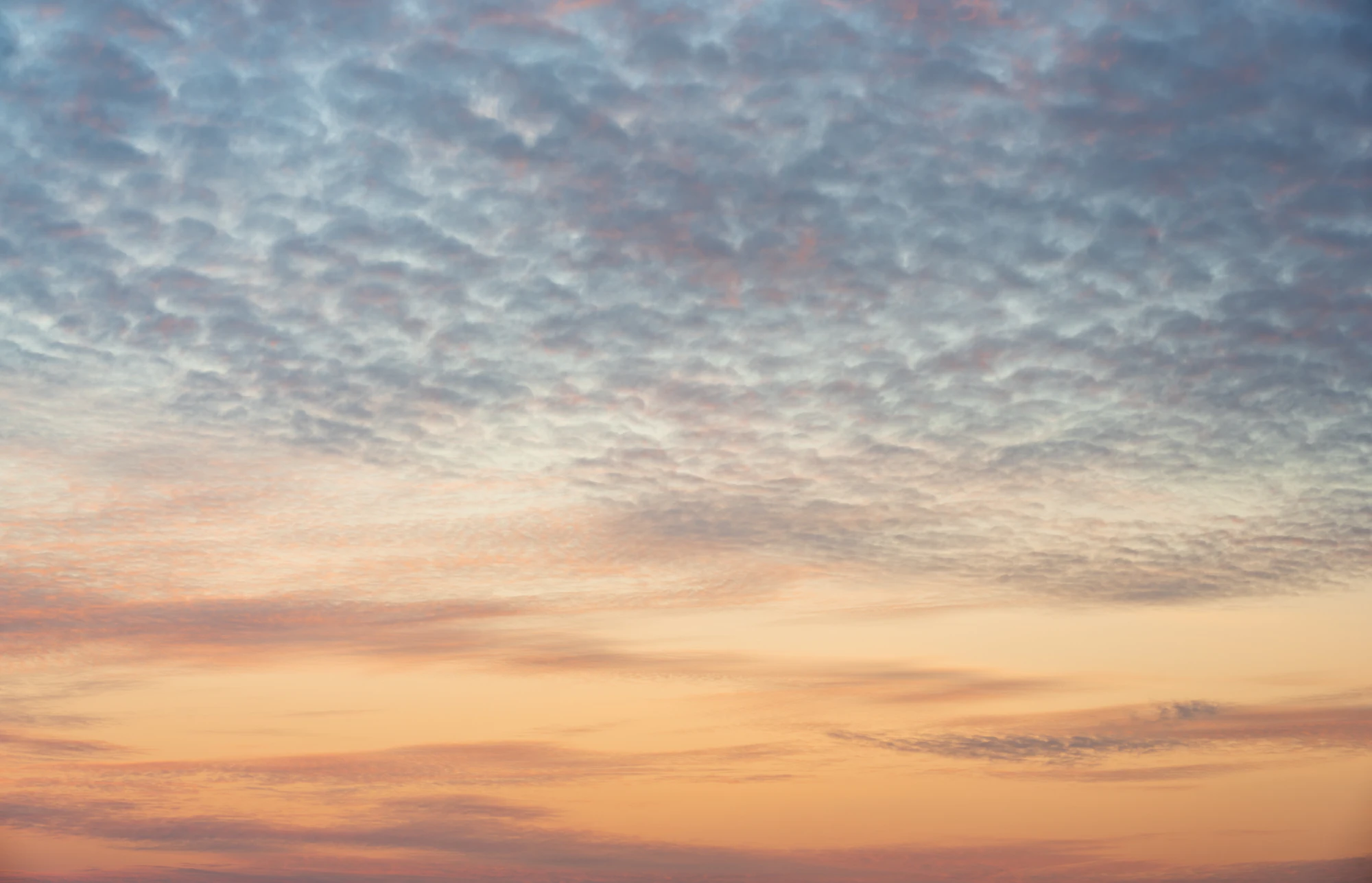 068 — Скачать