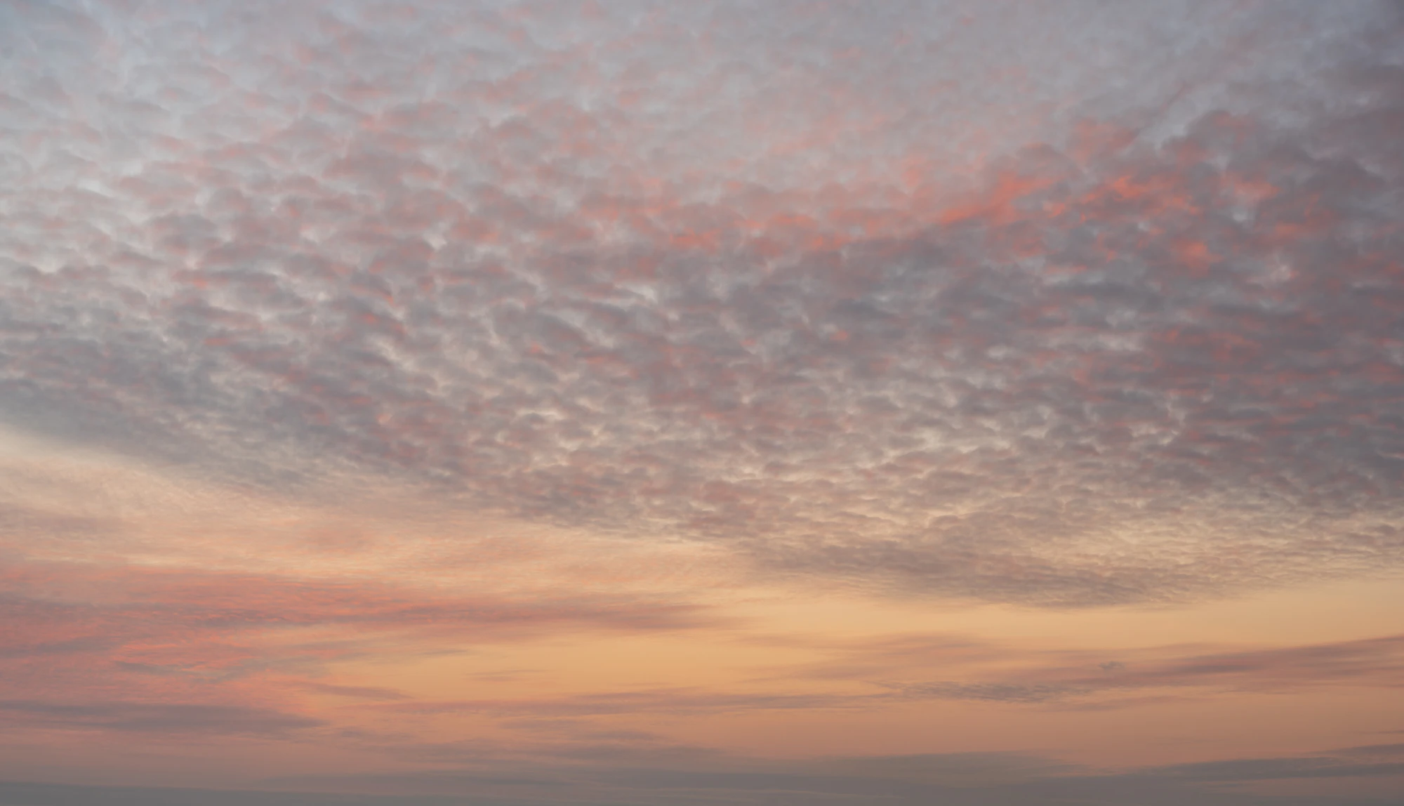 069 — Скачать