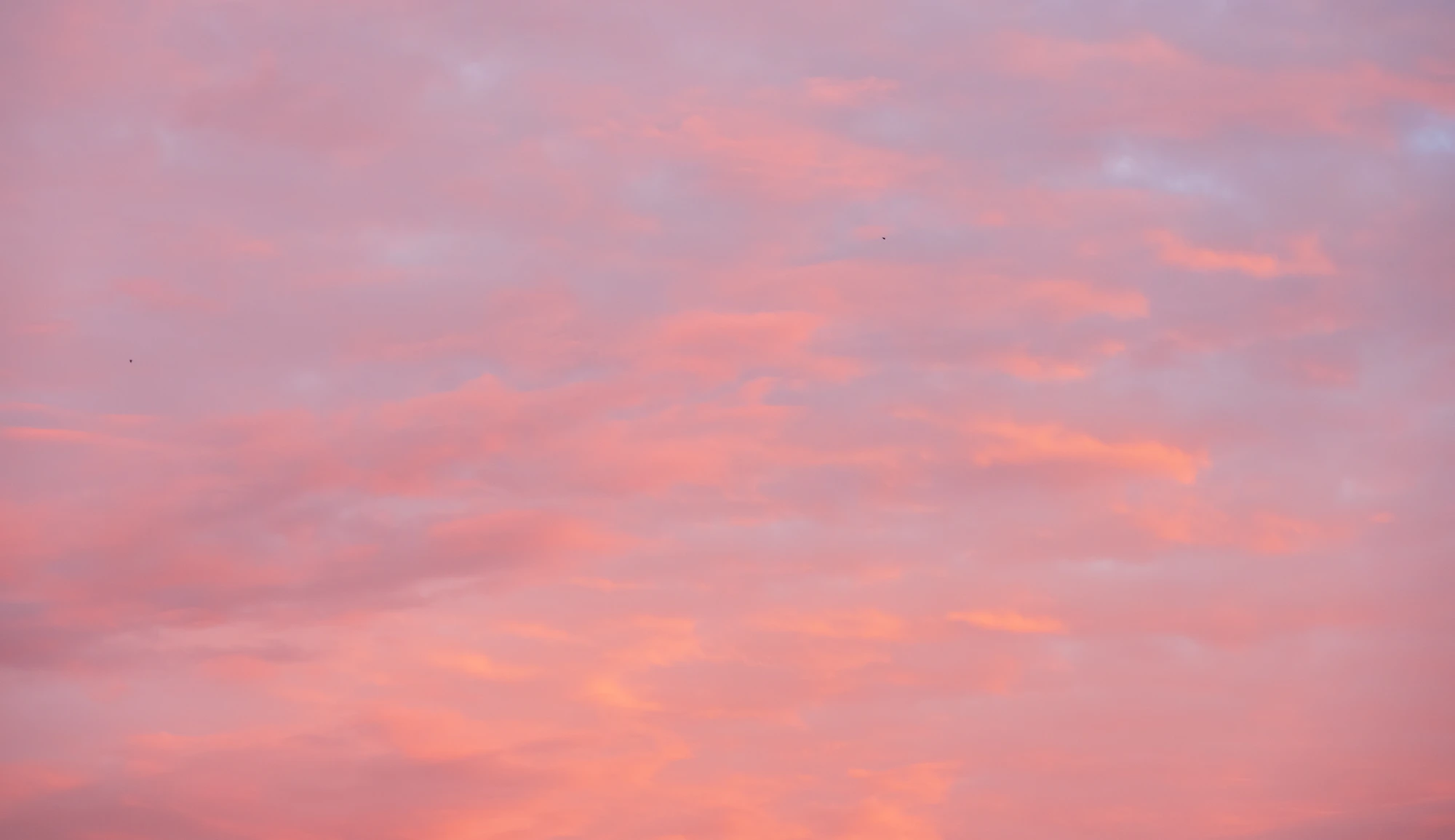 071 — Скачать