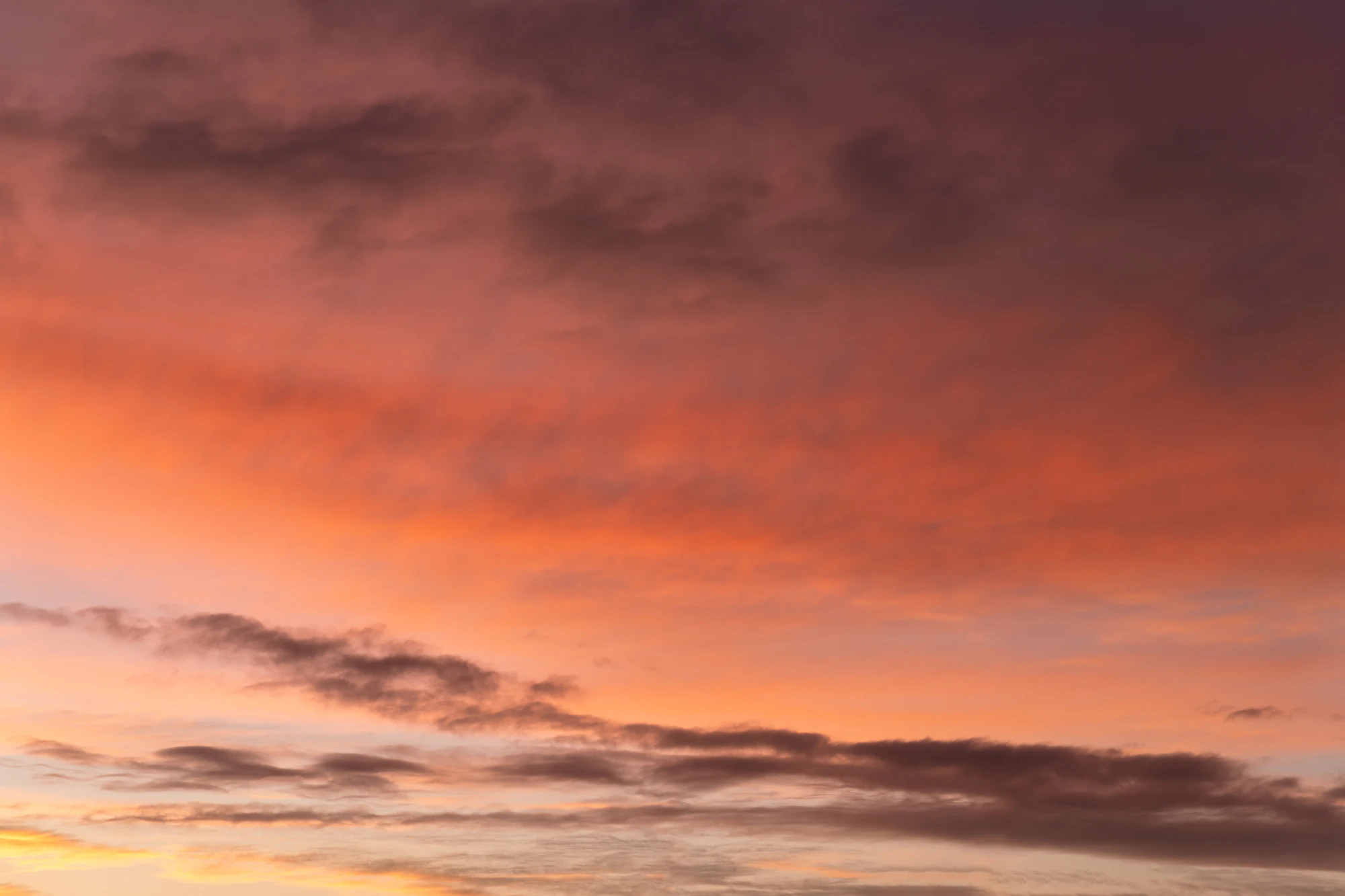 074 — Скачать