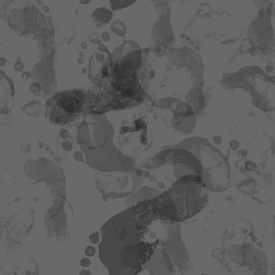 footprint 001 — Descargar