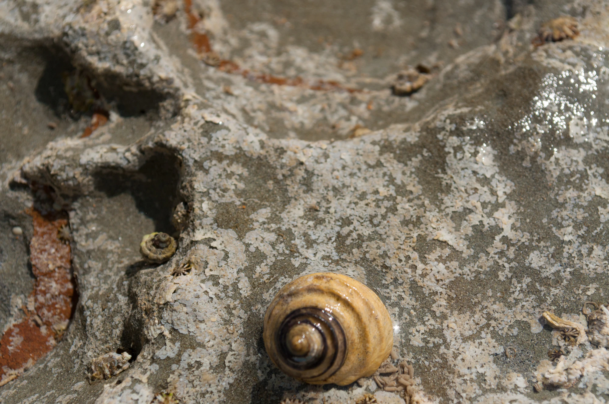 028 — Скачать