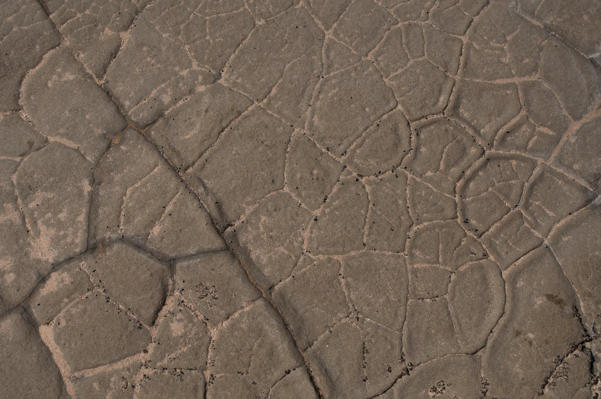 032 — Скачать