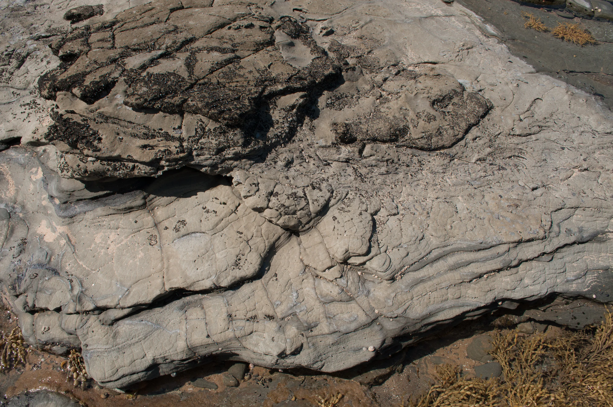 035 — Скачать