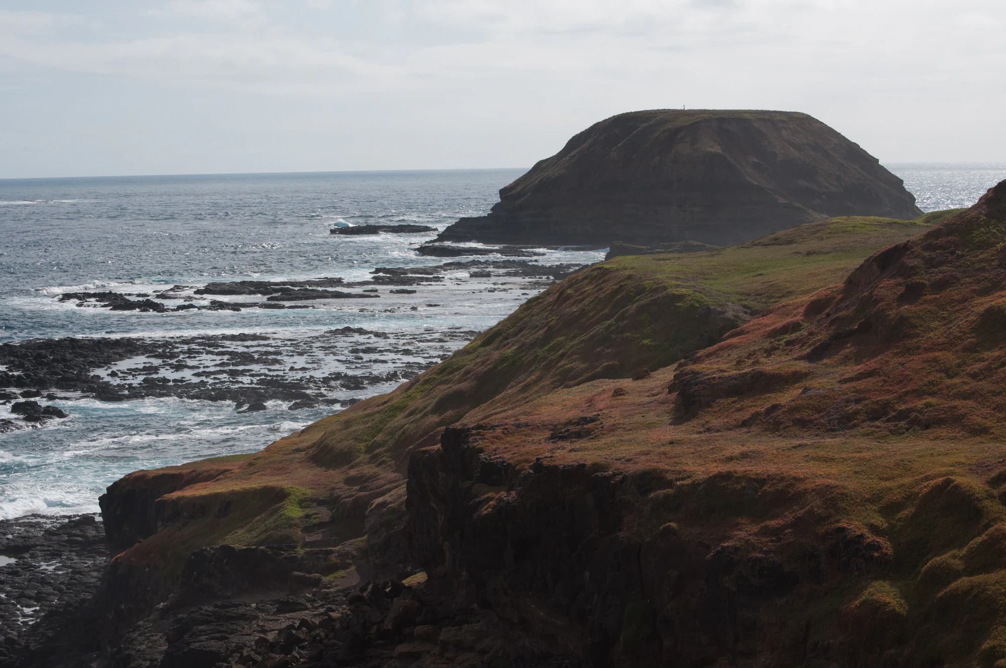 041 — Скачать