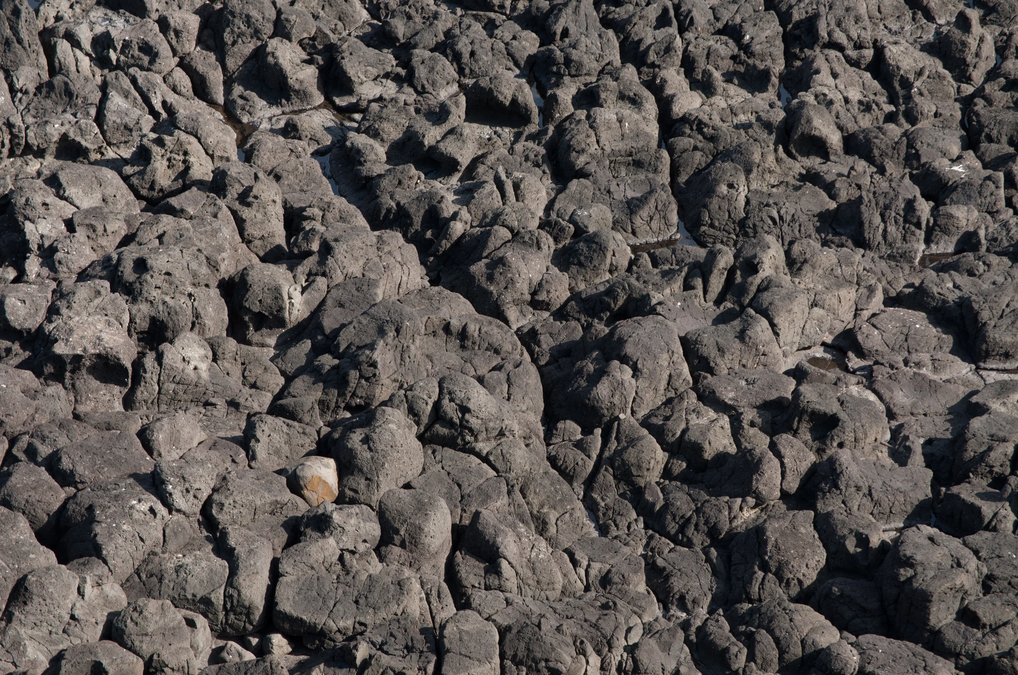 045 — Скачать